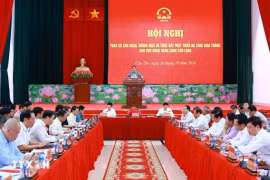 Panorama de la conférence. Photo: VNA
