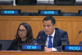 L'ambassadeur Dang Hoang Giang, chef de la Mission permanente du Vietnam auprès de l'ONU. Photo: VNA