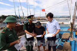 Des gardes-frontières de la province de Binh Dinh inspectent les bateaux de pêche. Photo: VNA