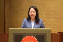 La vice-présidente de la République, Vo Thi Anh Xuân. Photo: VNA