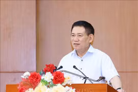Le ministre des Finances Hô Duc Phoc. Photo: VNA