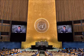 L'ambassadeur Dang Hoang Giang, chef de la mission permanente du Vietnam auprès de l'ONU, s'exprime lors de la session. Photo: VNA