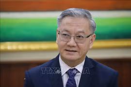 Le président de la Commission des relations extérieuses du Comité central du Parti popupulaire révolutionnaire lao (PPRL) Thongsavanh Phomvihane. Photo : VNA