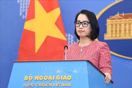 La porte-parole du ministère des Affaires étrangères, Pham Thu Hang. Photo: VNA