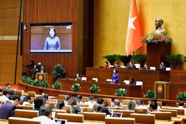 La gouverneure de la Banque d’État du Vietnam, Nguyên Thi Hông, devant l’Assemblée nationale. Photo : VNA