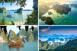 La baie de Ha Long est célèbre pour ses milliers de montagnes karstiques calcaires qui parsèment les eaux vertes et tranquilles