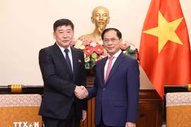 Le vice-Premier ministre et ministre des Affaires étrangères Bui Thanh Son (à droite) serre la main du vice-ministre des Affaires étrangères de la République populaire démocratique de Corée (RPDC) Pak Sang Gil. Photo : VNA