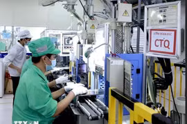 La compagnie sud-coréenne Youngbag Việt Nam dans le parc industriel de Binh Xuyên, province de Vinh Phuc. Photo : VNA