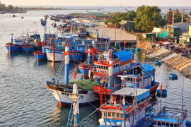 Le taux de bateaux de pêche équipés d’équipements de surveillance des navires à Ninh Thuân atteint 99,7%, dont 100% mesurent 24 m ou plus. Photo : VNA