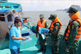 Des gardes-frontières du port de Hon Chong, dans la province de Kiên Giang, inspectent les bateaux de pêche en opération en mer. Photo : VNA