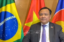 L’ambassadeur du Vietnam au Brésil, Bui Van Nghi. Photo: VNA