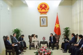 Le vice-Premier ministre Trân Hông Hà recevant la directrice générale adjointe de l’Agence française de développement (AFD), Marie-Hélène Loison, à Hanoi, le 17 mai. Photo: VNA