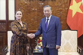 Le président Tô Lâm serre la main de l’ambassadrice de Nouvelle-Zélande au Vietnam, Caroline Beresford, à Hanoi, le 4 juillet. Photo: VNA