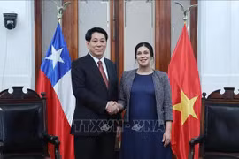 Le président vietnamien Luong Cuong et la présidente de la Chambre des députés du Chili Karol Cariola, à Santiago, le 11 novembre. Photo: VNA