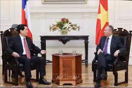 Le président vietnamien Luong Cuong (à gauche) et le président du Sénat chilien José García Ruminot, à Santiago, le 11 novembre. Photo: VNA