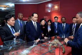 Le président Tran Dai Quang quitte l’Ethiopie pour l’Egypte