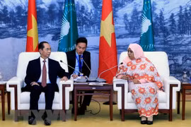 Le président Tran Dai Quang rencontre la présidente p.i de la Commission de l’Union africaine