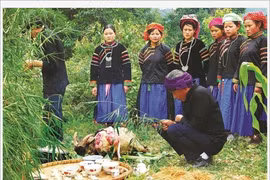 À Hà Giang, les Pu Péo célèbrent le génie de la forêt