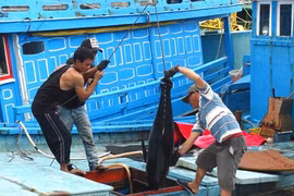 Le Vietnam progresse dans la lutte contre la pêche INN