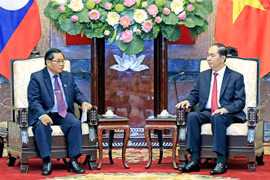 Le président exhorte à booster la coopération parlementaire Vietnam-Laos