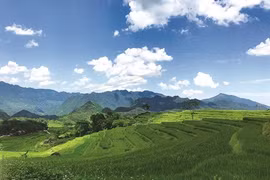 Quand développement rime avec environnement à Pù Luông