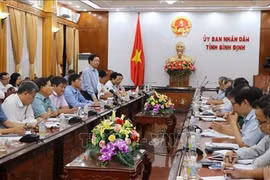 Pêche illicite : Binh Dinh s’efforce de réaliser toutes les demandes de la CE