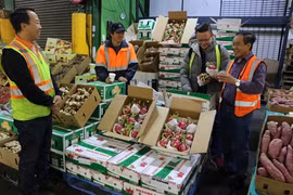 La blockchain pour la traçabilité des pitayas d’exportation vers l’Australie