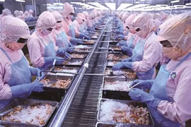 Les exportations de crevettes dépasseront 4 milliards de dollars