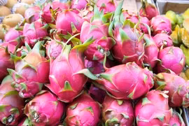 Bond des exportations nationales de fruits et légumes