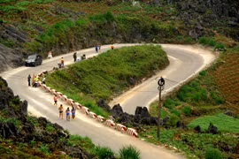 Cinq cents athlètes courront le marathon international à Hà Giang