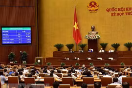 L’AN adopte deux résolutions et trois projets de loi