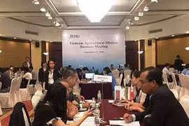 L’agriculture, un secteur fertile pour les entreprises vietnamiennes et japonaises