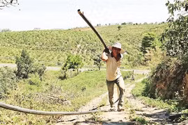 La sécheresse sévit au Tây Nguyên, les agriculteurs sur le qui-vive