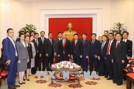 Renforcement des activités de jeunes volontaires Vietnam-Cambodge