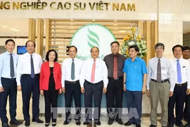 Le chef du gouvernement travaille avec le Groupe de caoutchouc du Vietnam