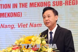 Pollution atmosphérique : réunion des pays de la sub-région du Mékong à Da Nang