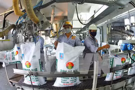 Vietnam : 245 entreprises publiques figurent dans la liste d’actionnarisation en 2018