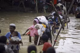 Le Myanmar et le Japon discutent de la crise des Rohingyas