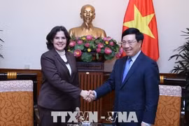 Le vice-Premier ministre Pham Binh Minh reçoit la nouvelle ambassadrice de Cuba
