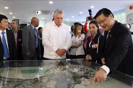 Le président cubain étudie le modèle de technopole de Ho Chi Minh-Ville