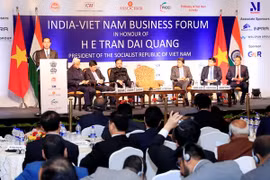 Le président Tran Dai Quang participe à un forum d’affaires Vietnam-Inde