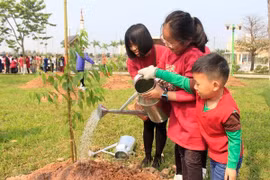 Plantation de 500 cerisiers japonais dans un parc de Hanoi