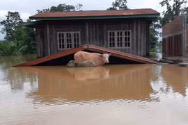 Les inondations généralisées font des ravages au Laos