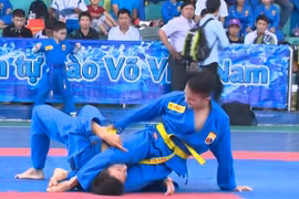 Création de la Fédération de vovinam panarabe