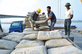 Hausse spectaculaire des exportations nationales de ciment et de clinker 