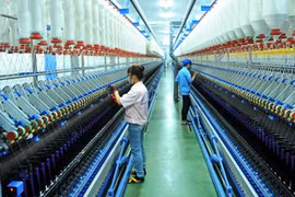 Ninh Binh : exportations de plus de 1,1 milliard de dollars des produits en neuf mois