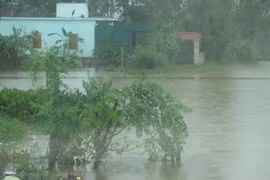 La tempête Son Tinh fait 63 morts, personnes portées disparues et blessées