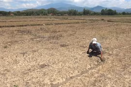 Sécheresse redoutée dans le Nord et le Tây Nguyên en raison d’El Niño