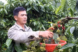 Baisse des exportations de produits agricoles, sylvicoles et aquatiques