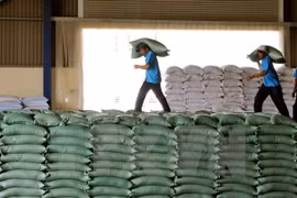 50.000 tonnes de riz du Vietnam et de Thaïlande seront exportées en Indonésie début 2016